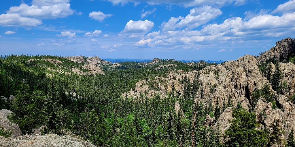 Marvel at the rugged beauty of the Black Elk Wilderness in South Dakota.