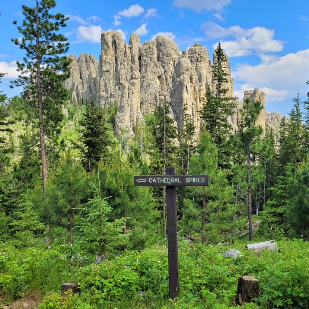Marvel at the majesty of Cathedral Spires amid the rugged beauty of the Black Elk Wilderness.