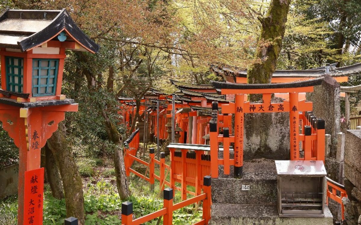 The Torii Gates of Fushimi Inari Shrine in Kyoto, Japan!